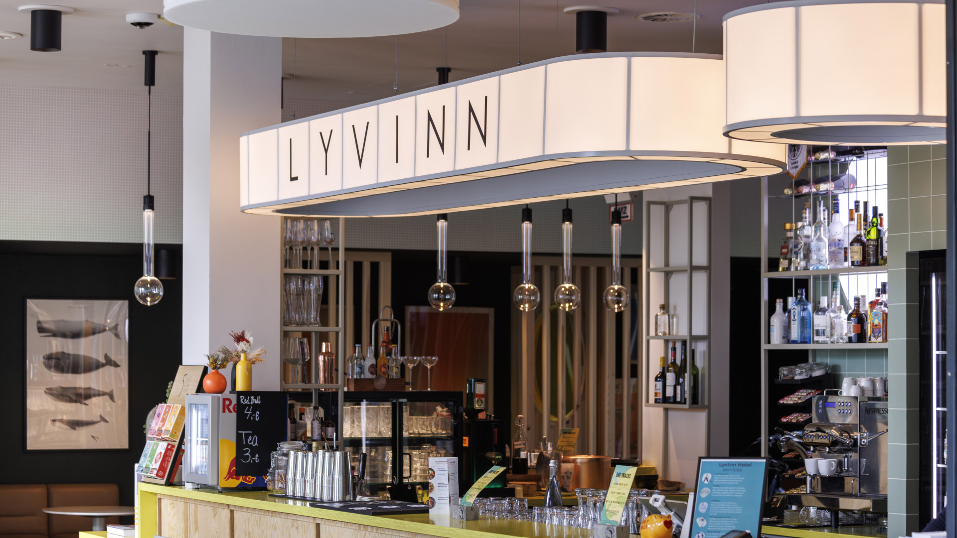 Moderne Rezeption eines Hotels mit Lichtelementen die über dem Tresen hängen, im Hintergrund ein Barschrank mit Getränken.