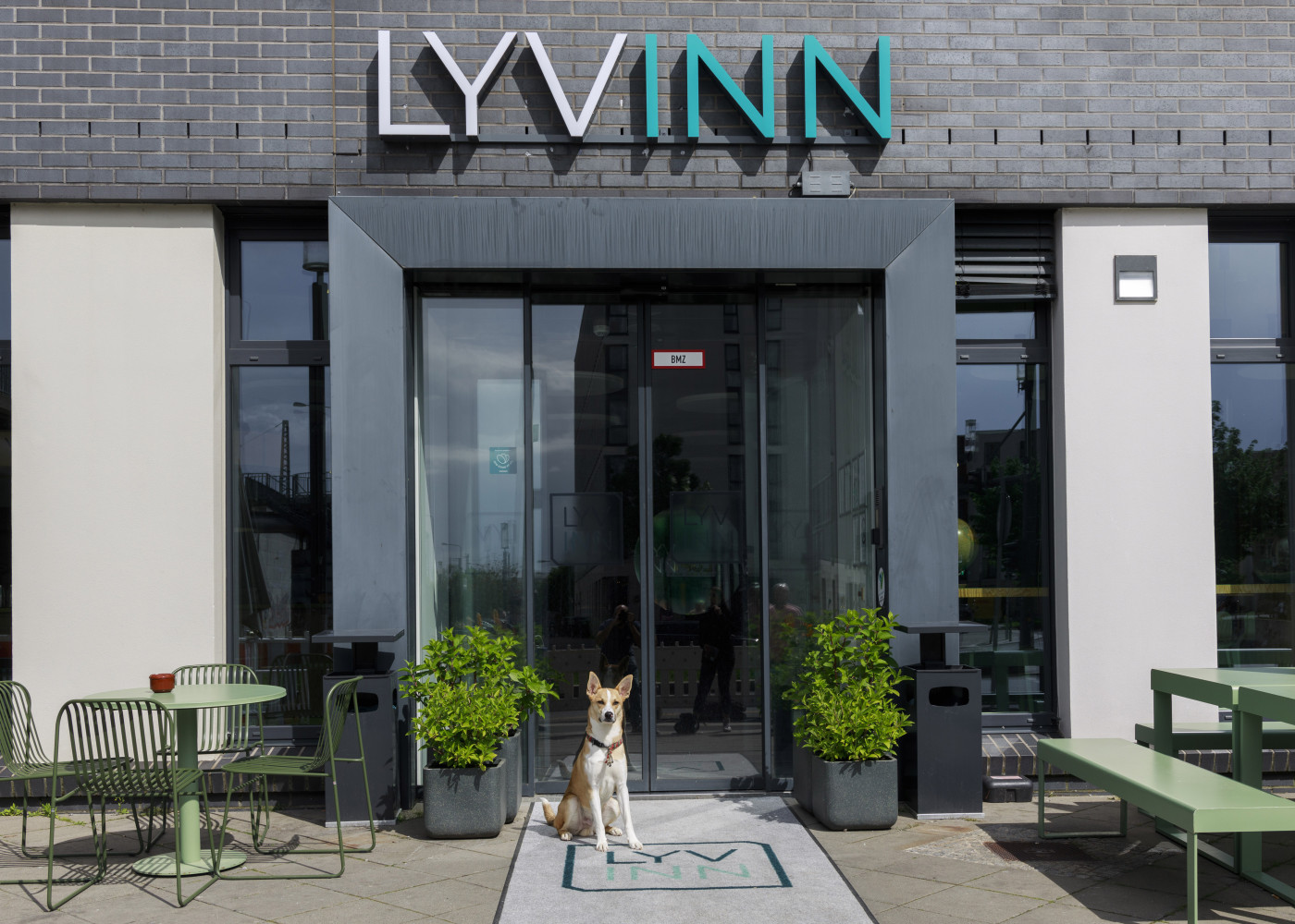 Ein Hund sitzt vor dem Eingang des LyvInn Hotels.