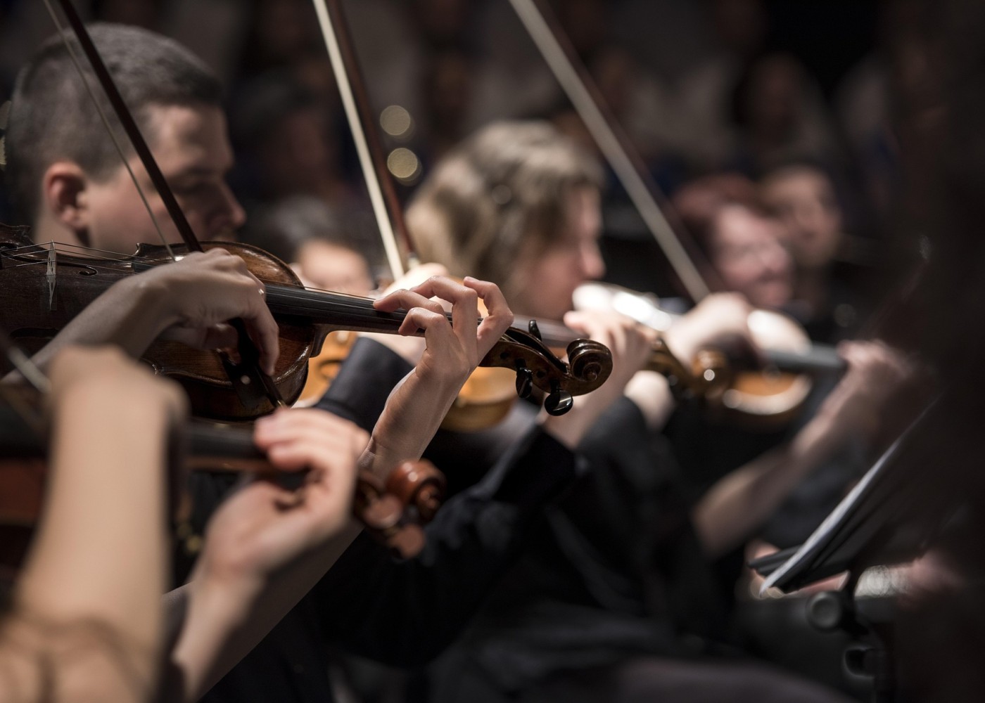 Ausschnitt eines Orchesters mit Musikern, die Geige spielen.